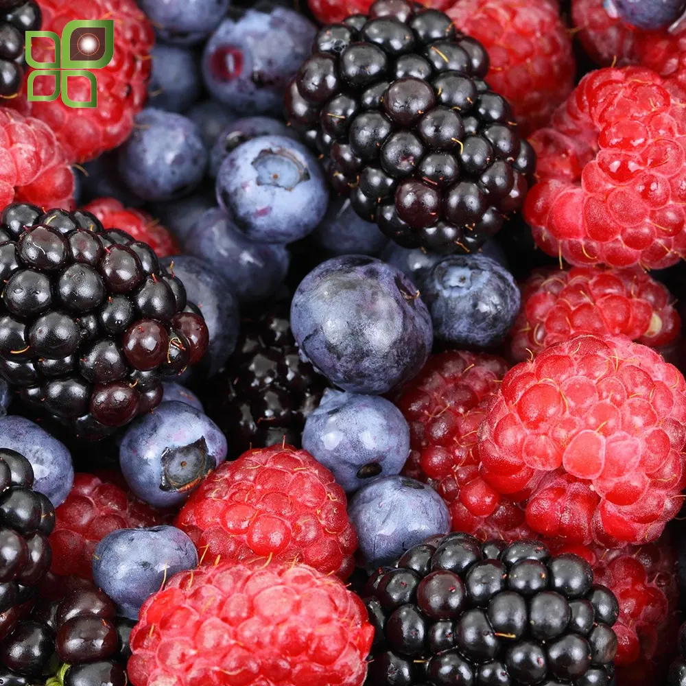 Heal Kinesiology Nutrition Course berries