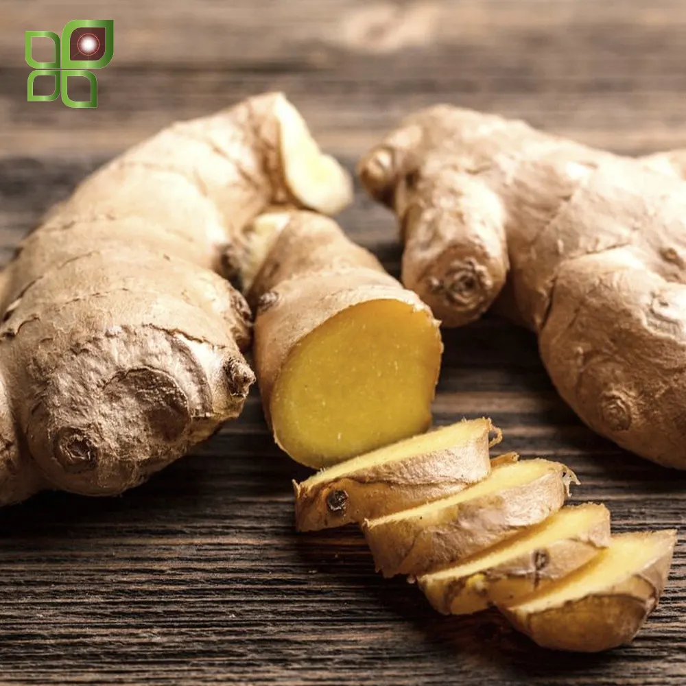 Heal Kinesiology Nutrition Course ginger